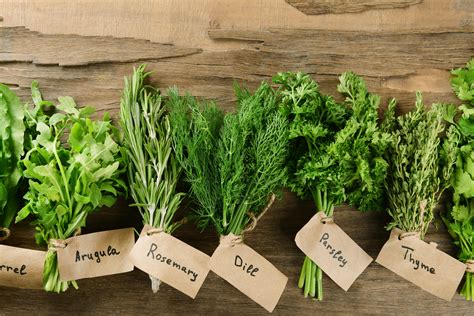 Fresh herbs. Things To Know About Fresh herbs. 